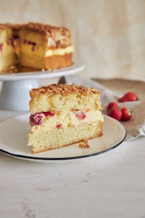 Vanilla Sponges Cake