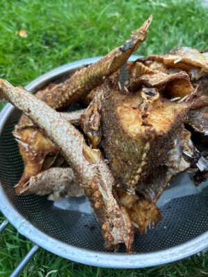 Fried Fish